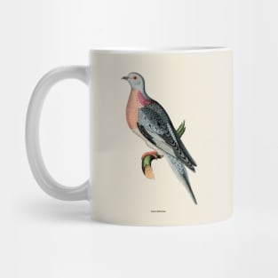 Pigeon Antique Naturalist Illustration Mug